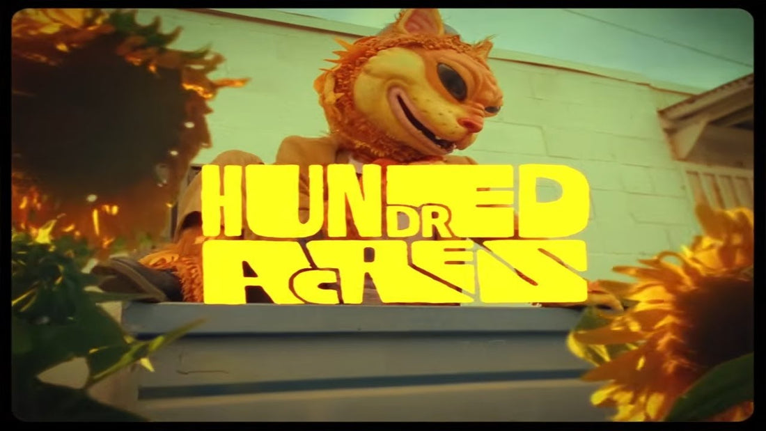 Noname - Hundred Acres ft. Devin Morrison (Official Music Video)