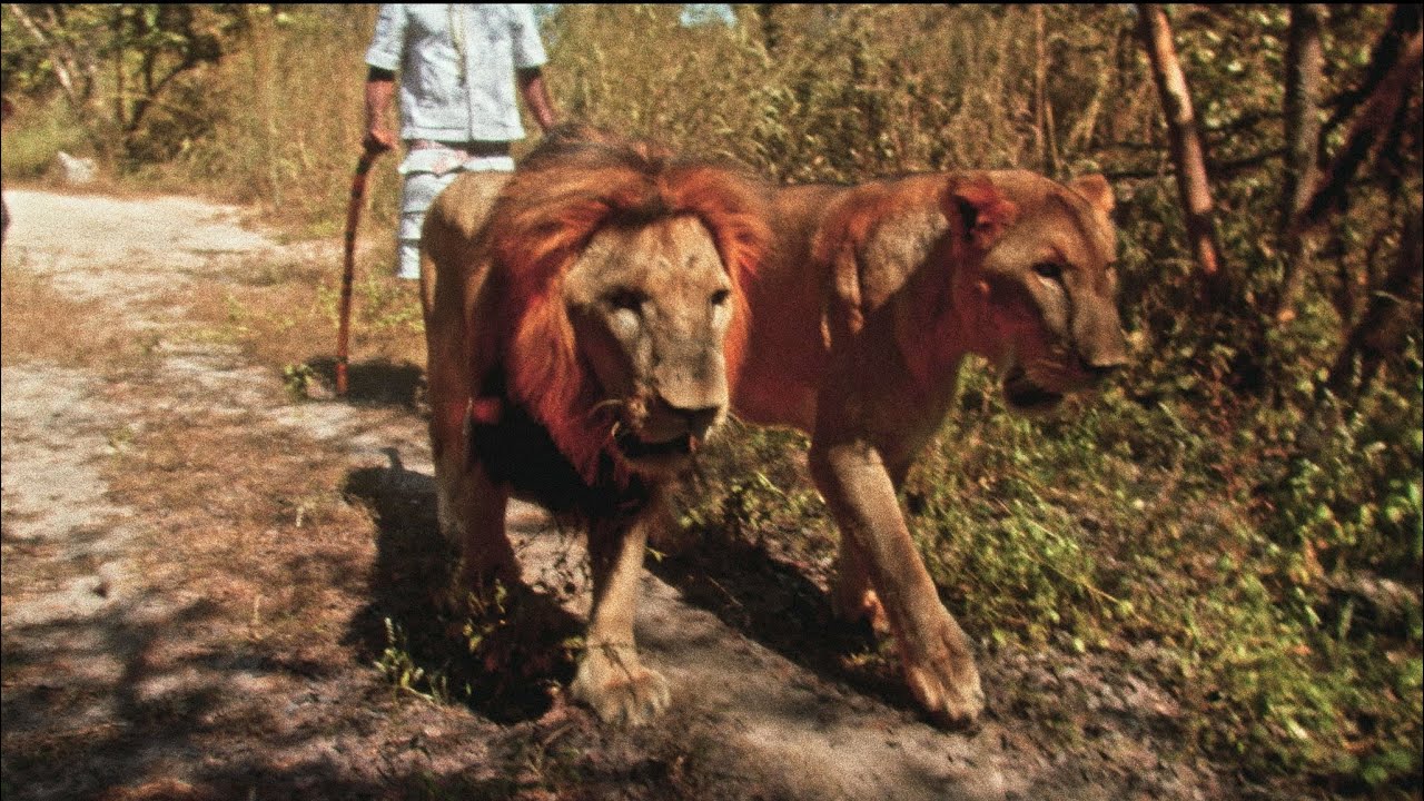 LEÏTI - B+ (Official Video)