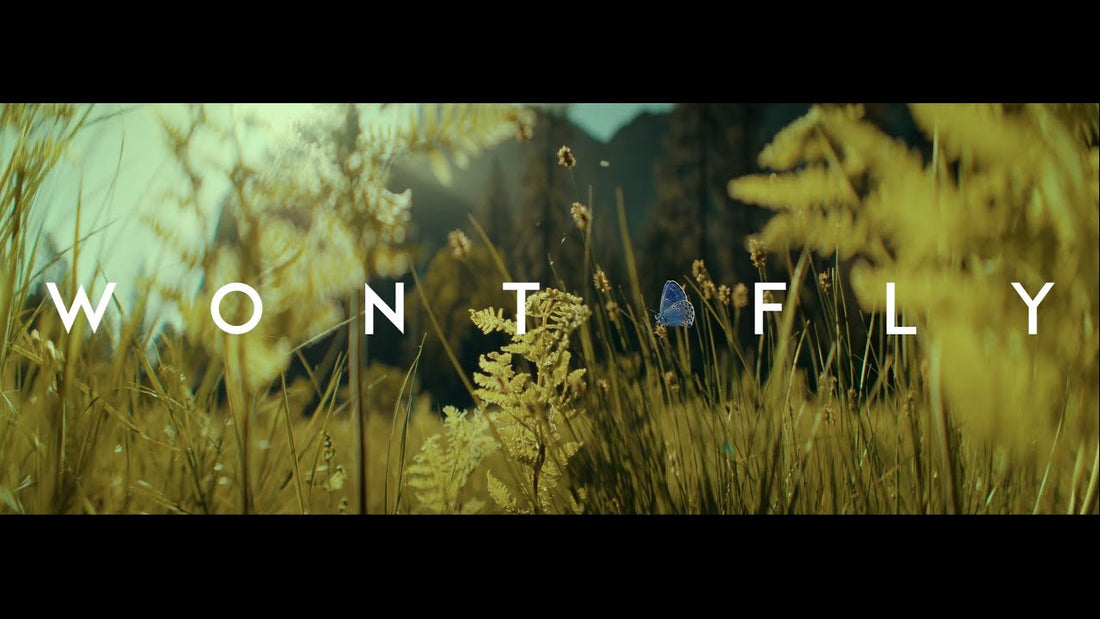 Jon Keith - WONT FLY (Official Music Video)