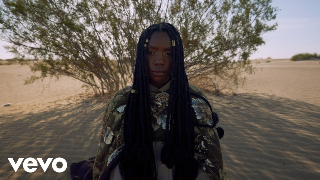 Dua Saleh - Flood (feat. Bon Iver) [Official Visualizer]