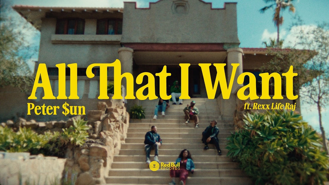 Peter $un - "All That I Want" ft. Rexx Life Raj (Official Music Video)