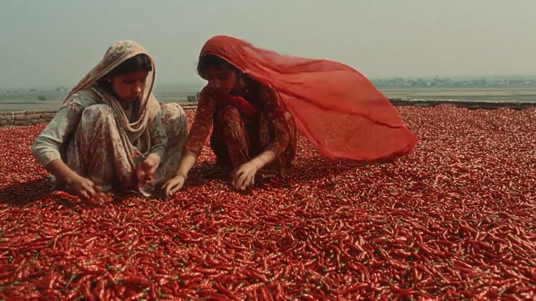 SAKHI (Raazi Hussain & Ahsan Pervaiz Mehdi)