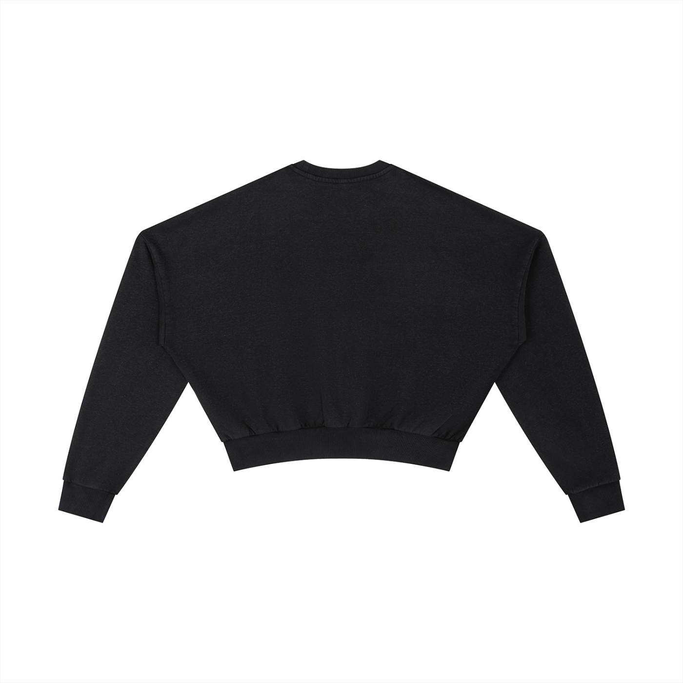 Vintage Washed Cropped Sweatshirt - Rapper's Digest
