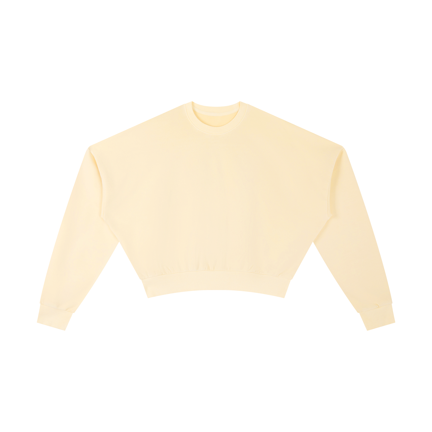 Vintage Washed Cropped Sweatshirt - Rapper's Digest