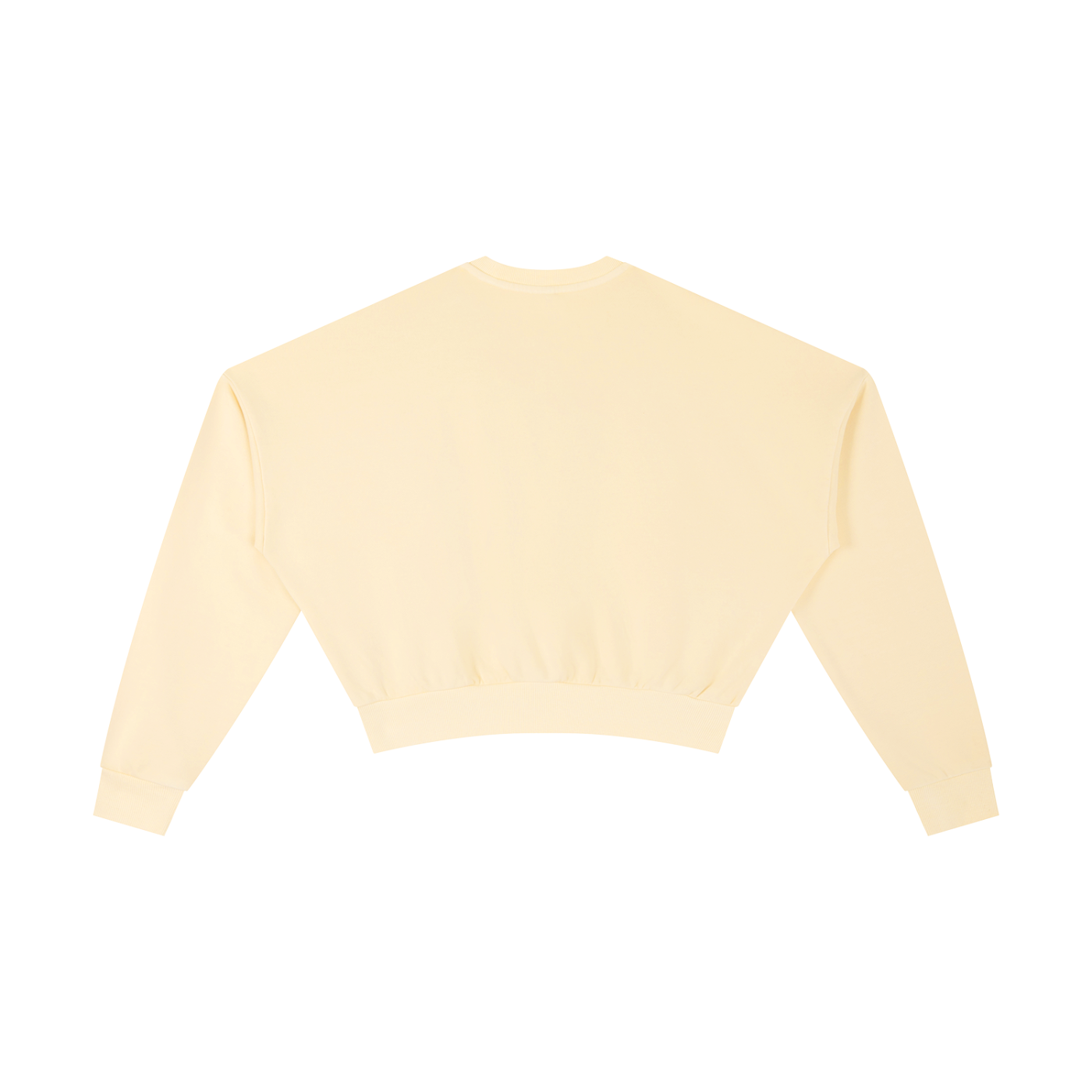 Vintage Washed Cropped Sweatshirt - Rapper's Digest