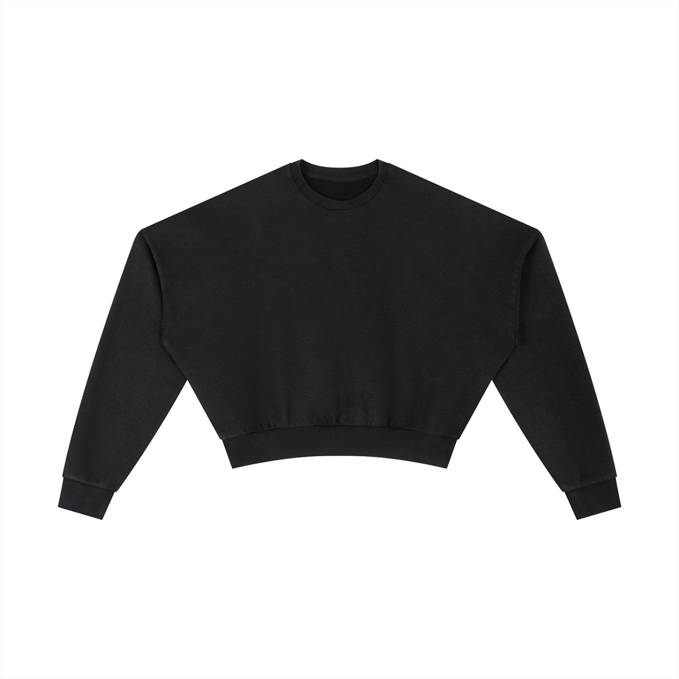 Vintage Washed Cropped Sweatshirt - Rapper's Digest