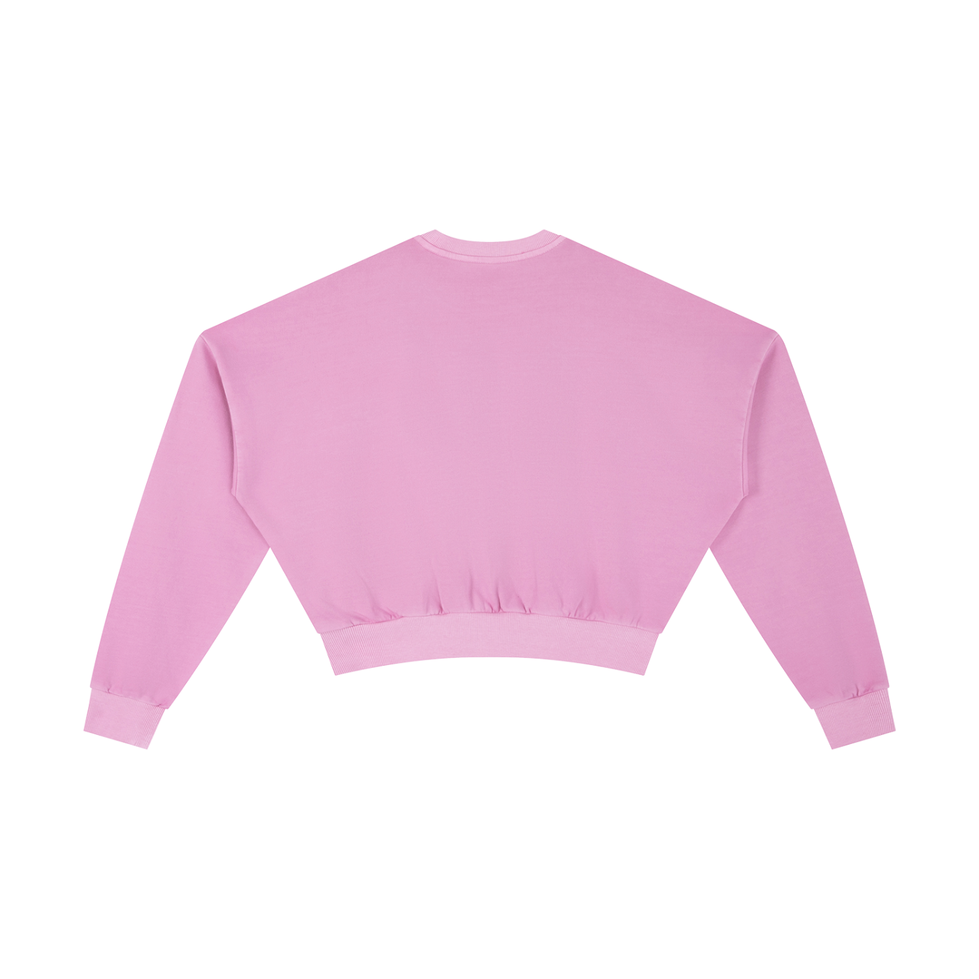 Vintage Washed Cropped Sweatshirt - Rapper's Digest