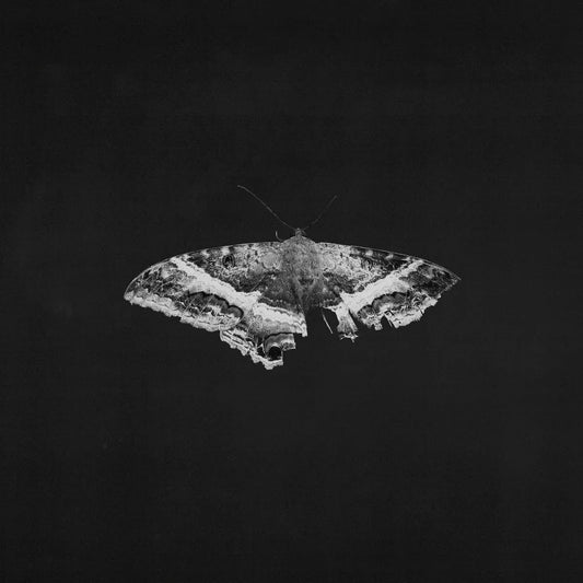 Kendrick Lamar - To Pimp A Butterfly (10 Year Anniversary Edition VINYL)
